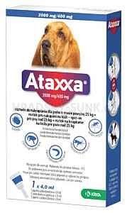 Ataxxa Spot-on Dog XL 2000mg/400mg 1x4ml,  EXPIRACE 12/2025